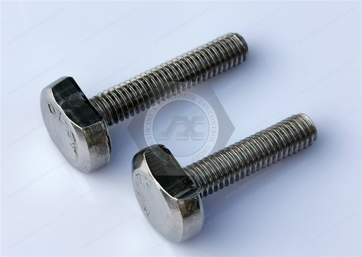 Stainless Steel Bolts and Screws for T-slots Stainless Steel Bolts and Screws for T-slots