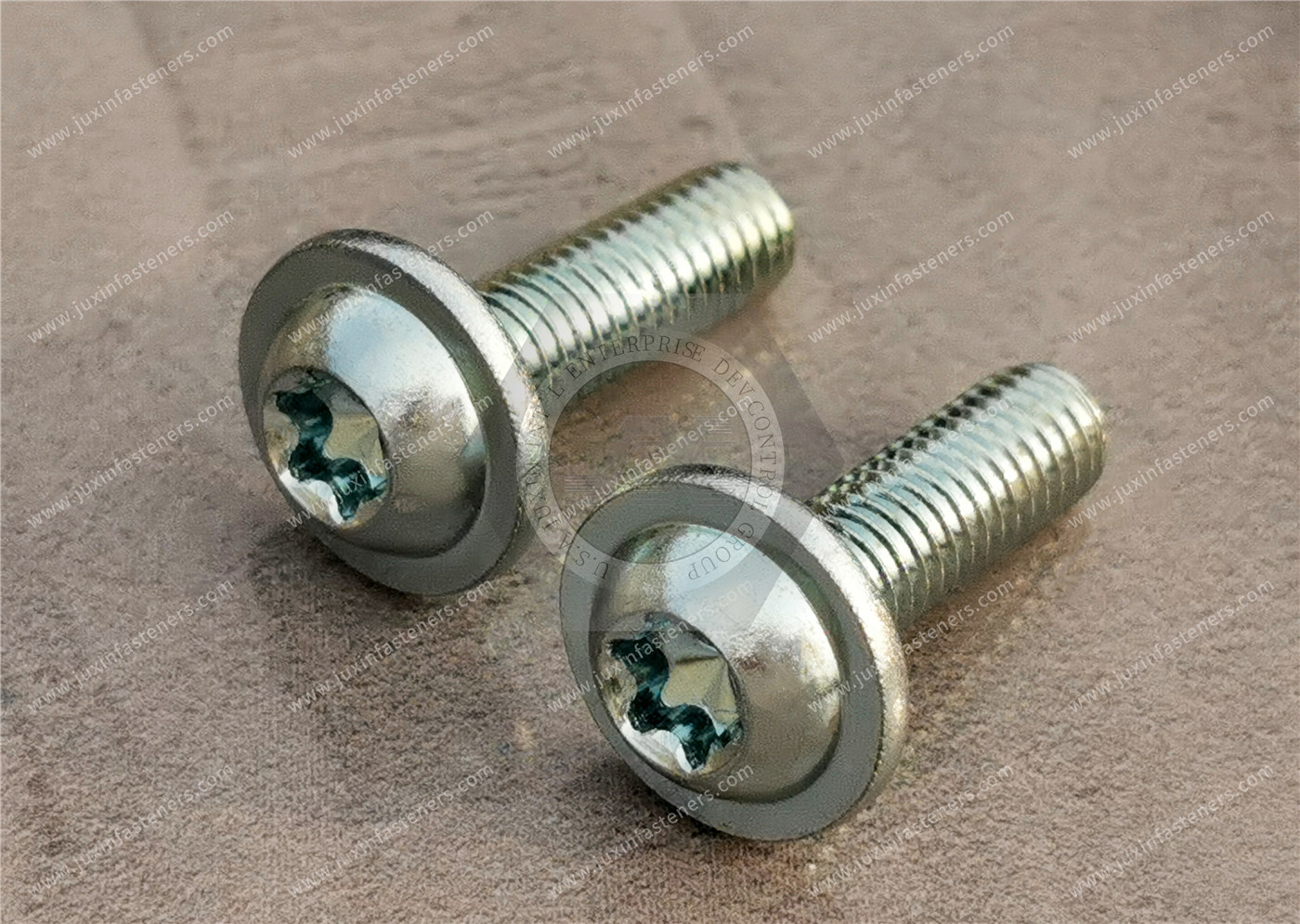 Carbon Steel Round Washer Head with TORX PLUS Screw Carbon Steel Round Washer Head with TORX PLUS Screw
