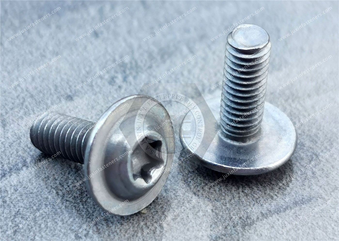 Carbon Steel Round Washer Head with TORX PLUS Screw,Surface treatment electroplating natural color zinc-nickel alloy Carbon Steel Round Washer Head with TORX PLUS Screw,Surface treatment electroplating natural color zinc-nickel alloy