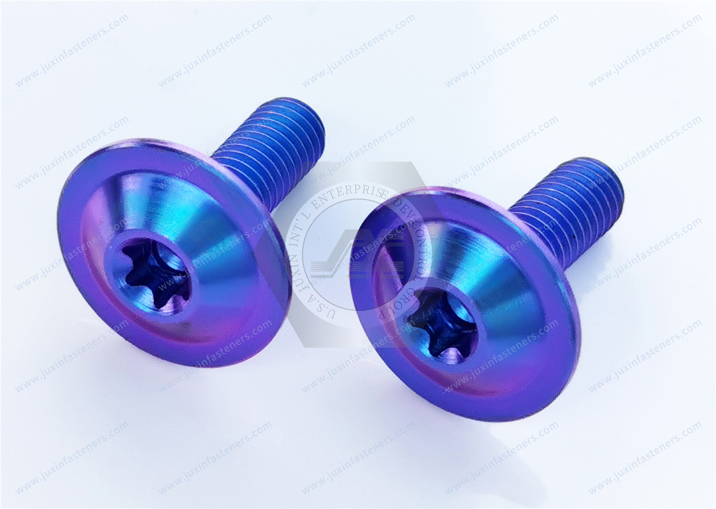 Titanium alloy purple blue Round Washer Head with TORX PLUS Screw Titanium alloy purple blue Round Washer Head with TORX PLUS Screw