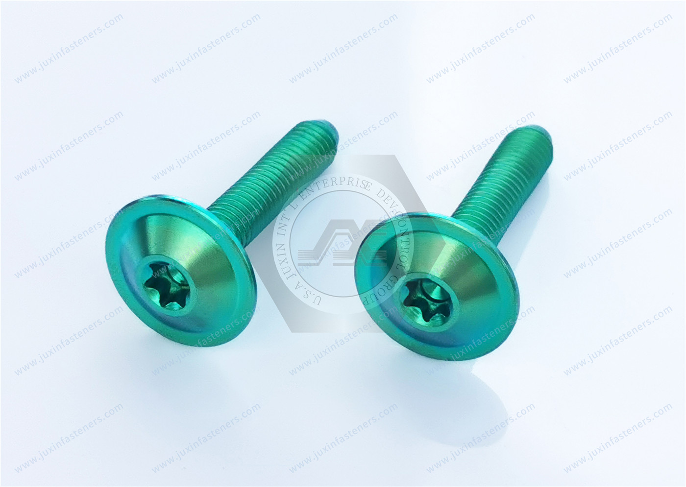 Titanium alloy green Round Washer Head with TORX PLUS Screw Titanium alloy green Round Washer Head with TORX PLUS Screw