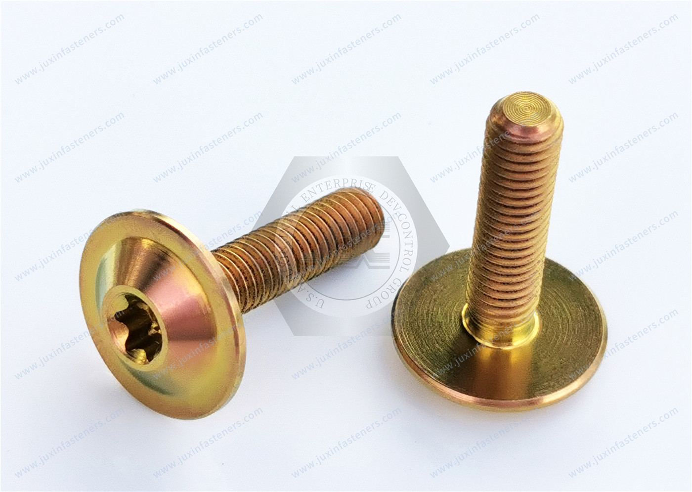 Titanium alloy gold Round Washer Head with TORX PLUS Screw Titanium alloy gold Round Washer Head with TORX PLUS Screw