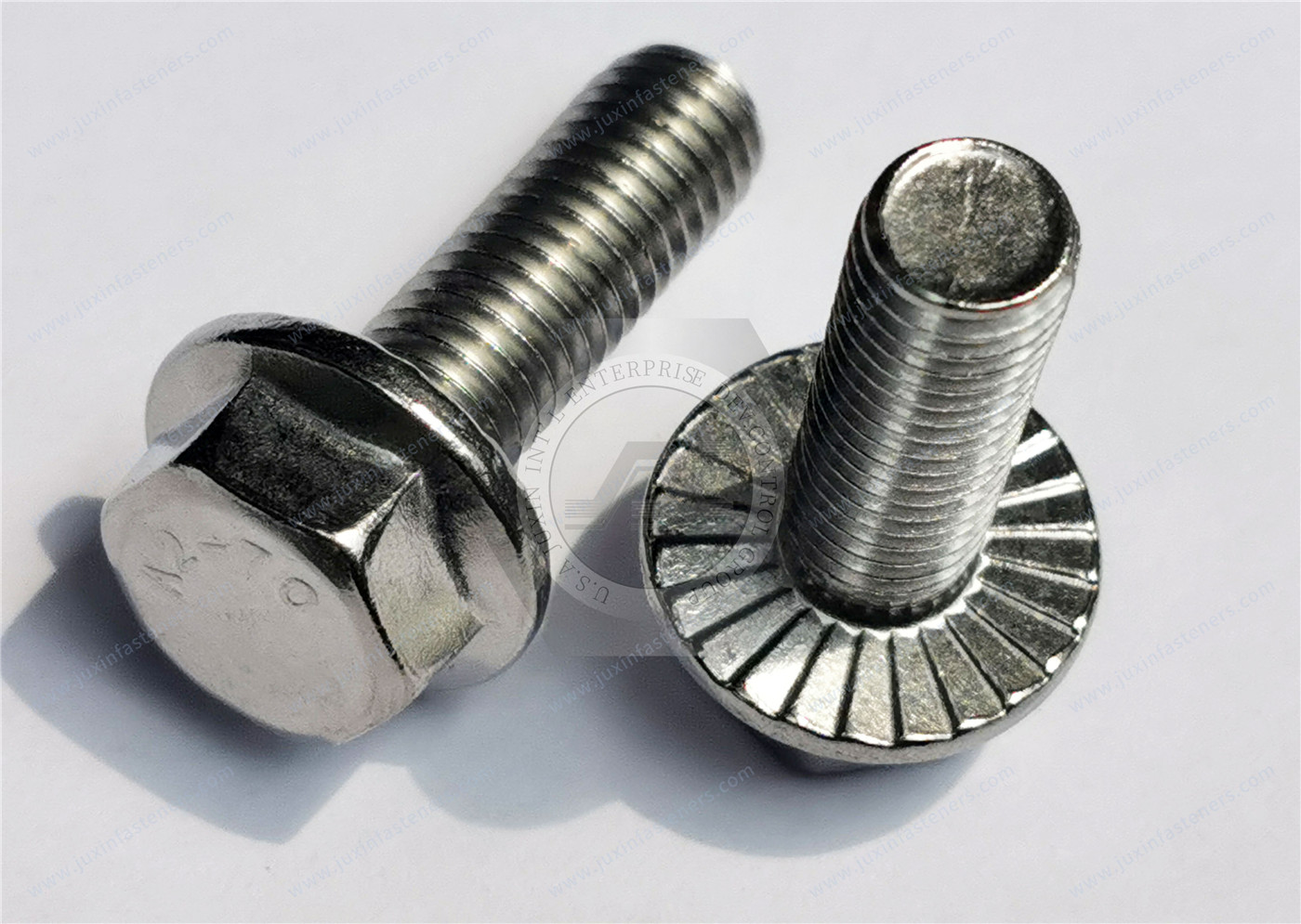 Stainless Steel Hexagon Flange Bolts Stainless Steel Hexagon Flange Bolts