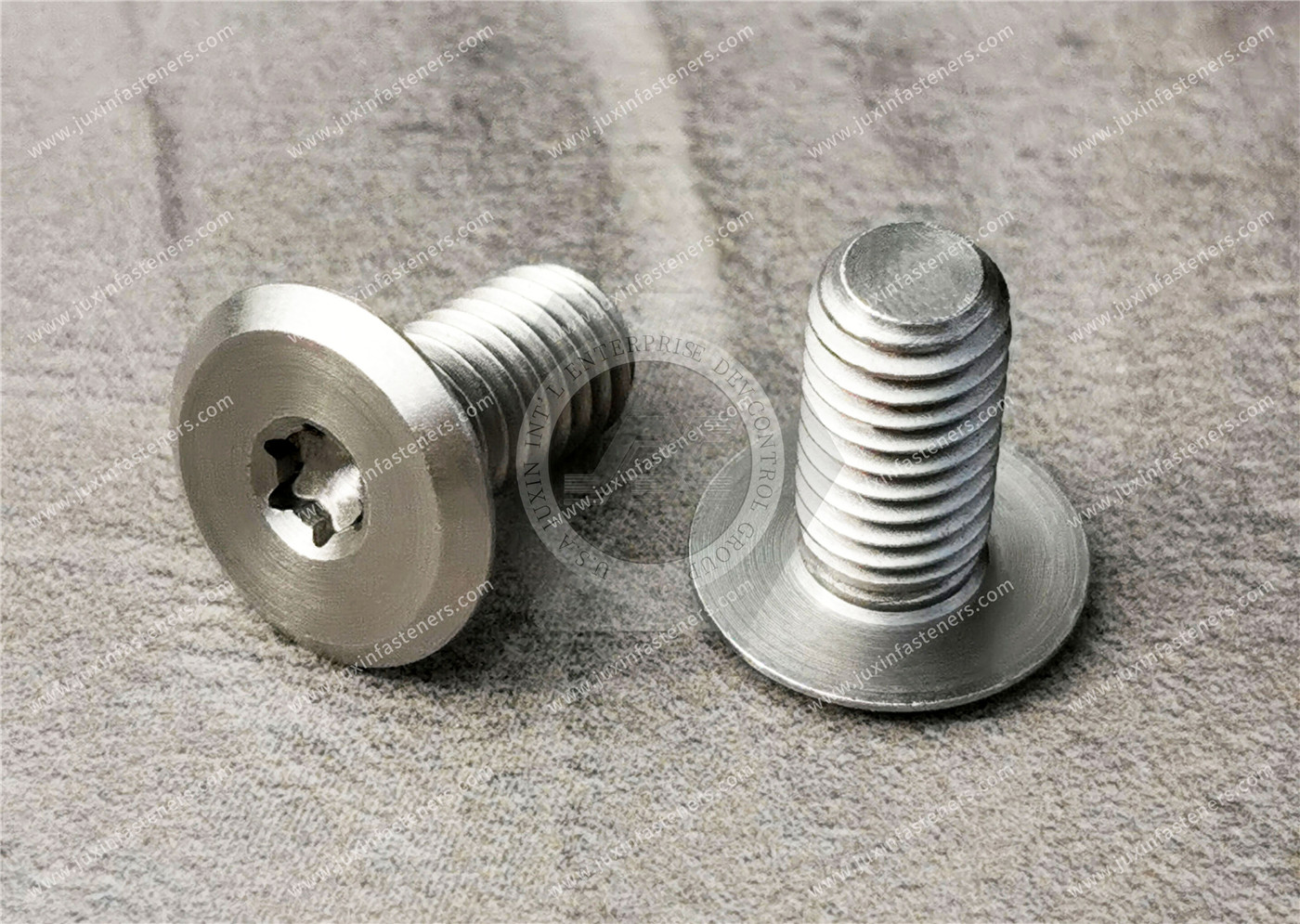 Stainless Steel large Pan Head Torx Screws Stainless Steel large Pan Head Torx Screws