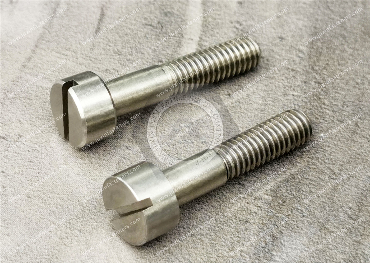 Stainless Steel High-Profile Narrow Fillister Head Slotted Screws Stainless Steel High-Profile Narrow Fillister Head Slotted Screws