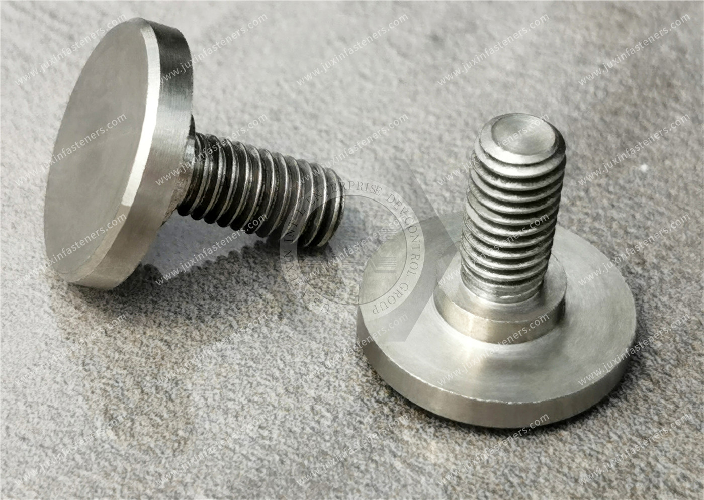 Stainless Steel Extra-Wide Truss Head Screws Stainless Steel Extra-Wide Truss Head Screws
