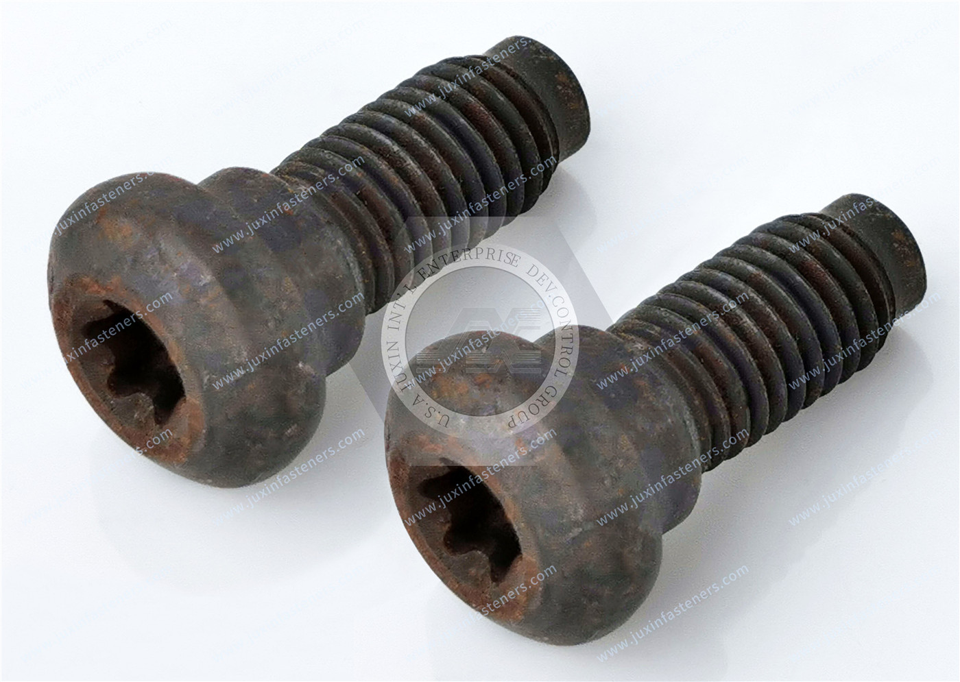 Torx Alloy Steel Socket Head Stepped Screws Torx Alloy Steel Socket Head Stepped Screws
