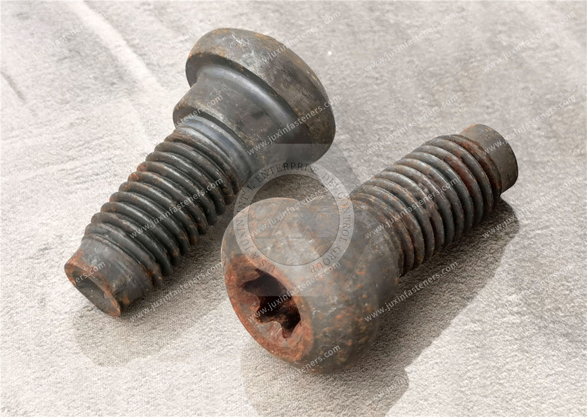 Torx Alloy Steel Socket Head Stepped Screws Torx Alloy Steel Socket Head Stepped Screws