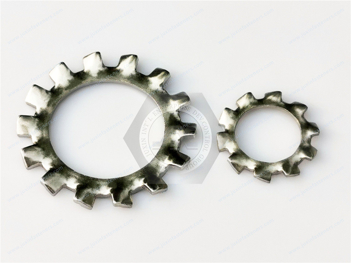 Serrated lock washer external teeth for assembly Serrated lock washer external teeth for assembly