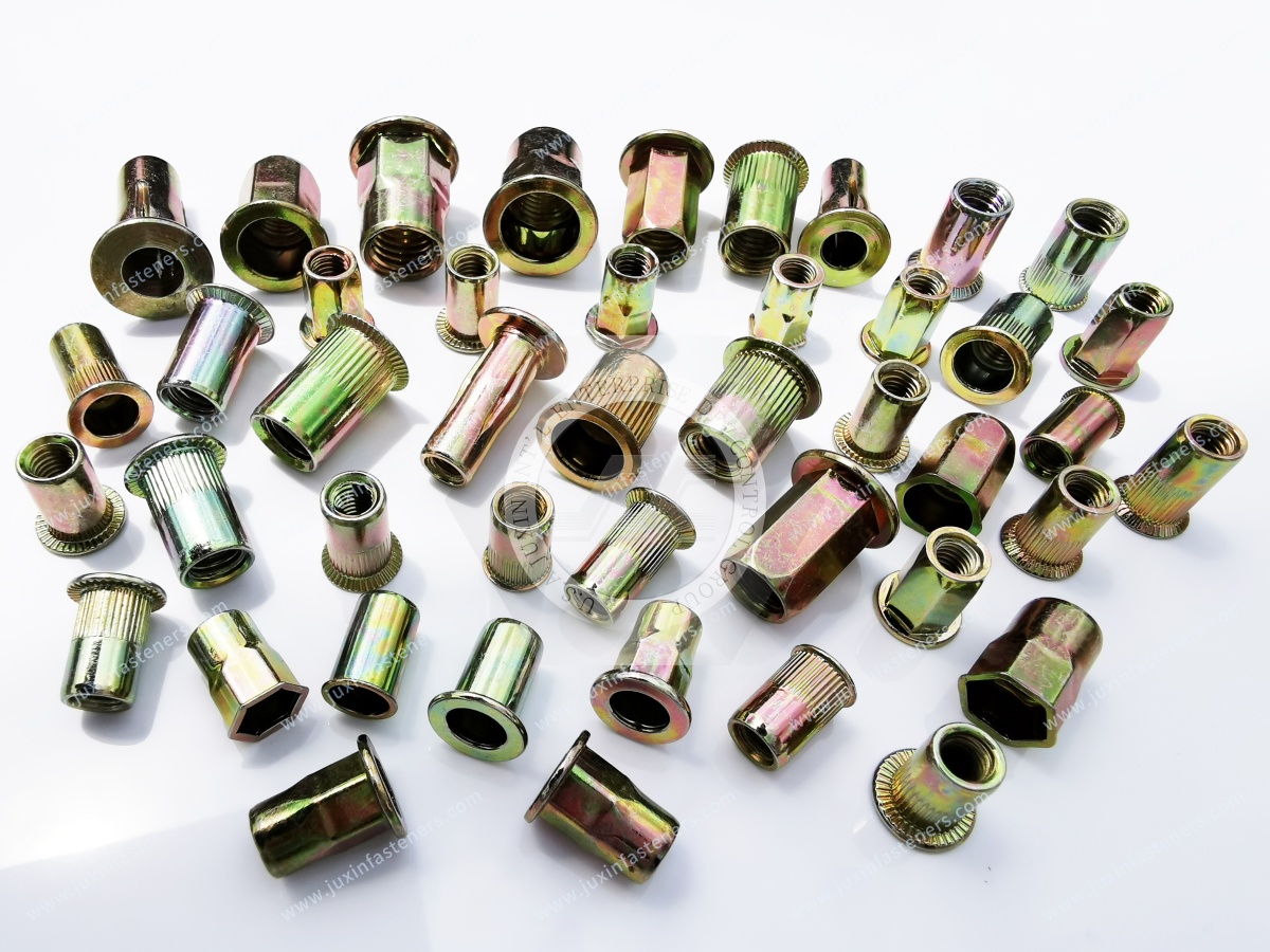 Thin Head Open end Round Body Plain Blind Rivet Nuts Thin Head Open end Round Body Plain Blind Rivet Nuts