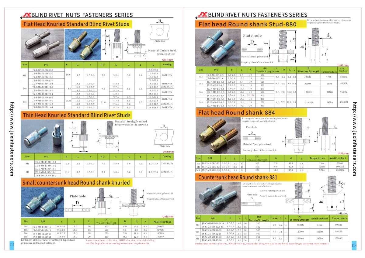Flat Head Round Body Blind Rivet Studs
