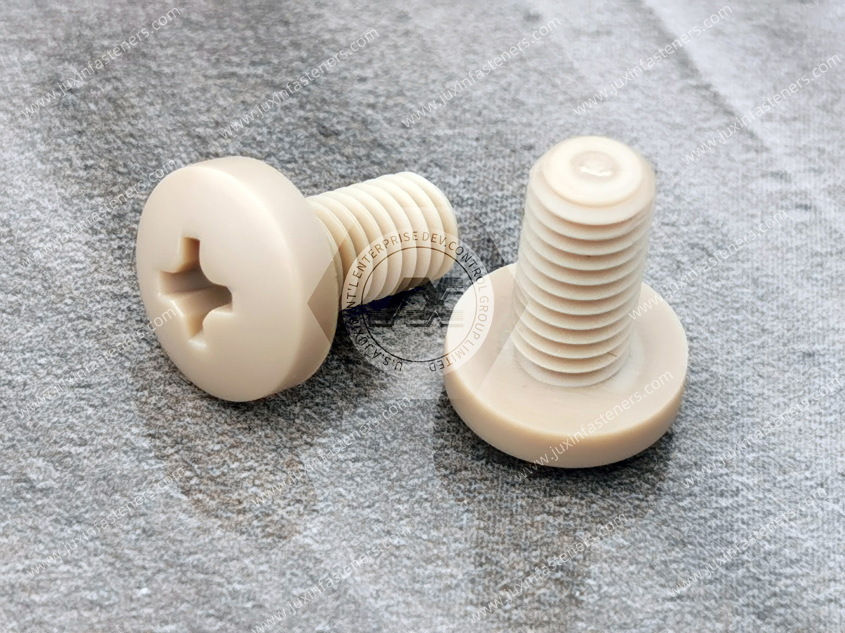 PEEK Pan Head Phillips Screws PEEK Pan Head Phillips Screws
