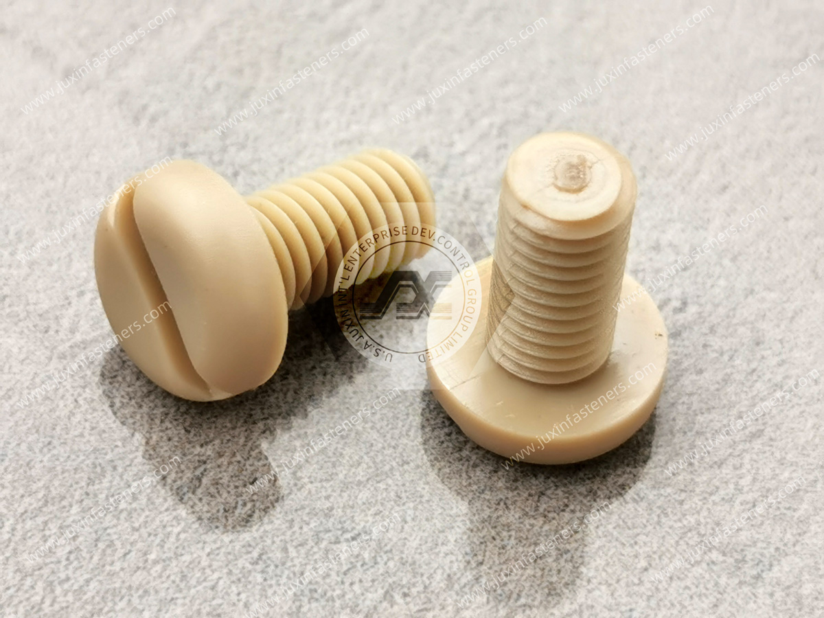PEEK Pan Head Slotted Screws PEEK Pan Head Slotted Screws