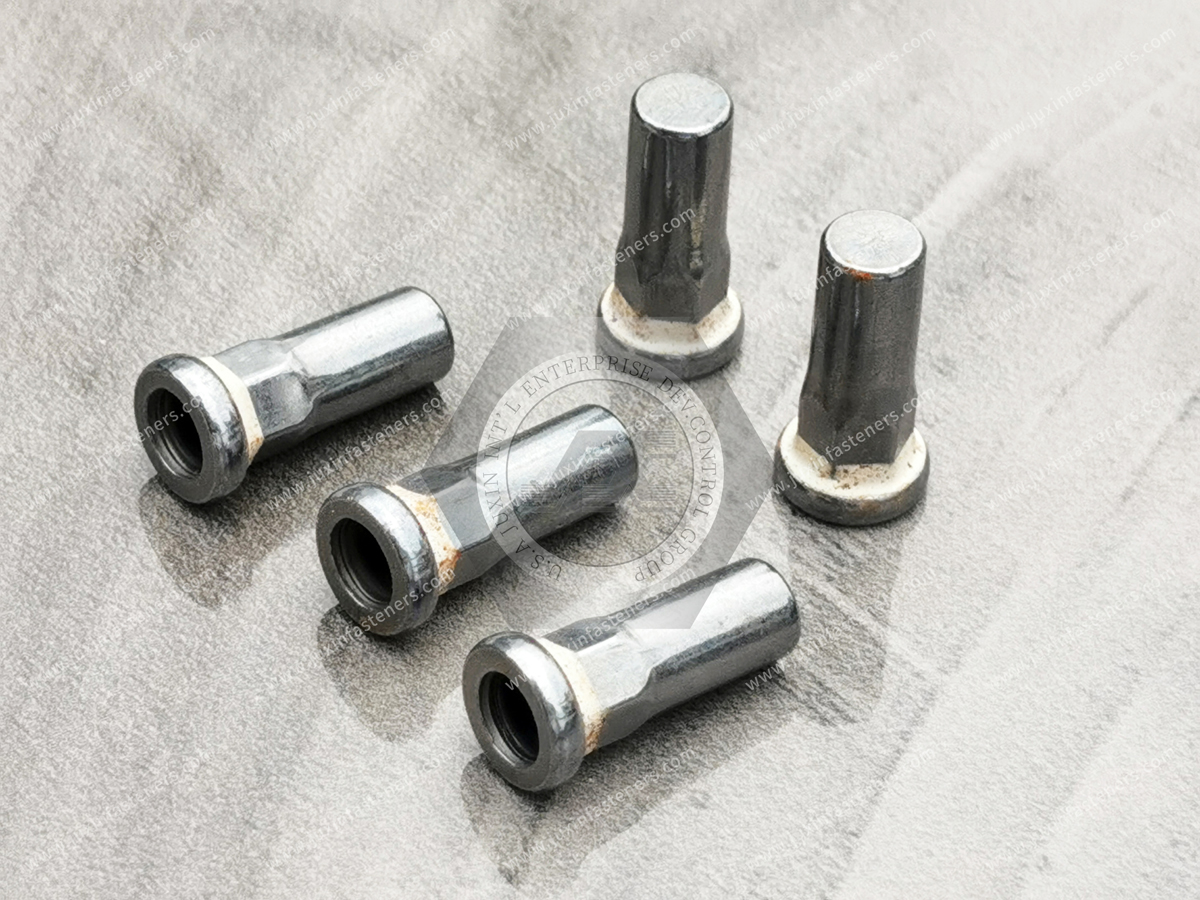 Blind Rivet Nuts in Electric Vehicle Battery Enclosures Blind Rivet Nuts in Electric Vehicle Battery Enclosures