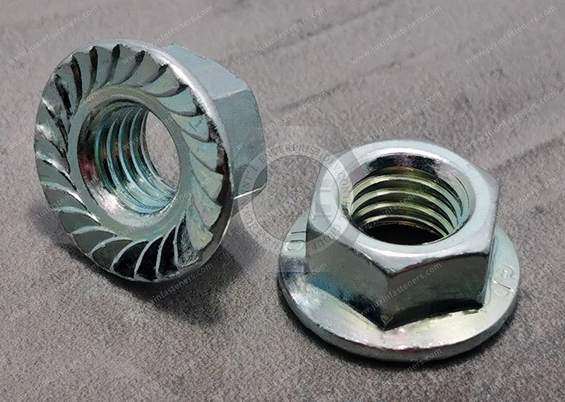 Hexagon Flange Nuts