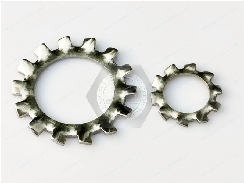 Serrated lock washer external teeth for assembly&Countersunk external toothed lock washer for assembly