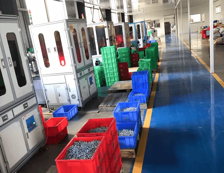 Automated Optical Sorting &ndash; Full Inspection