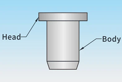 Blind Rivets Nuts & Stud Fasteners for Sheet Metal